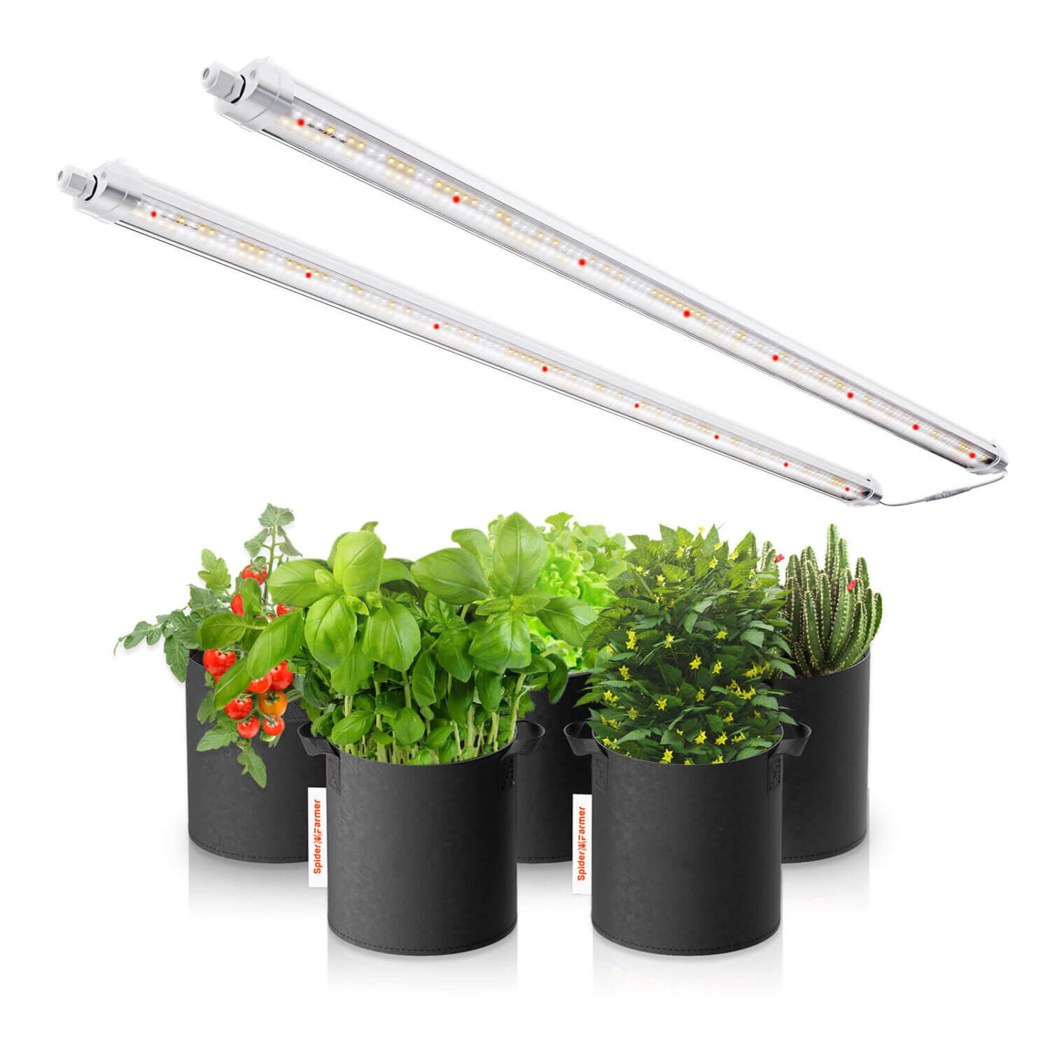 glow80 - 80W Dual LED Lichtleiste