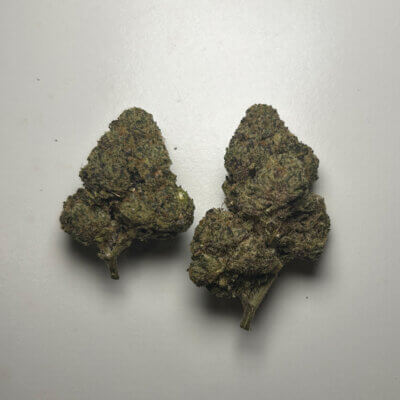 Purple Churros Strain