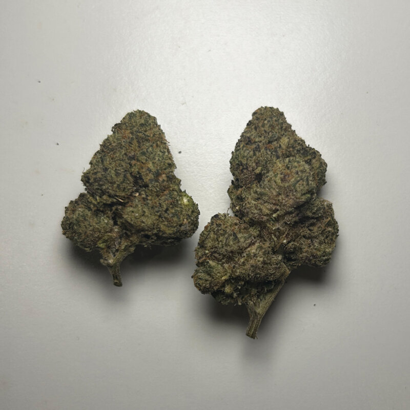 Purple Churros Strain