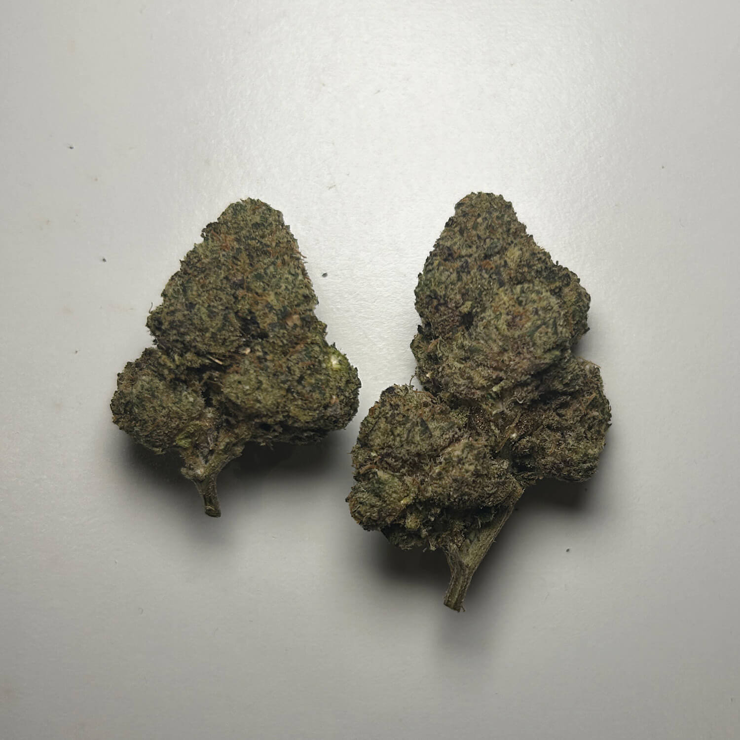 Purple Churros Strain