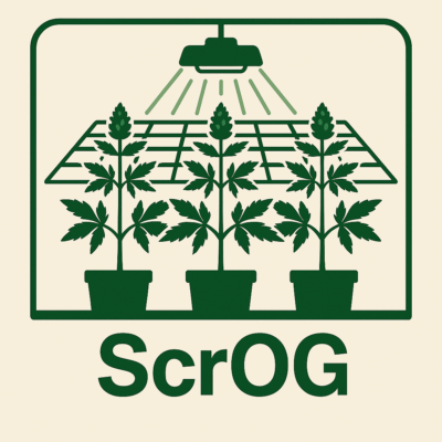 Scrog methode illustration