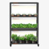 3 Etagen Grow Regal mit 3x SF600 LED Beleuchtung