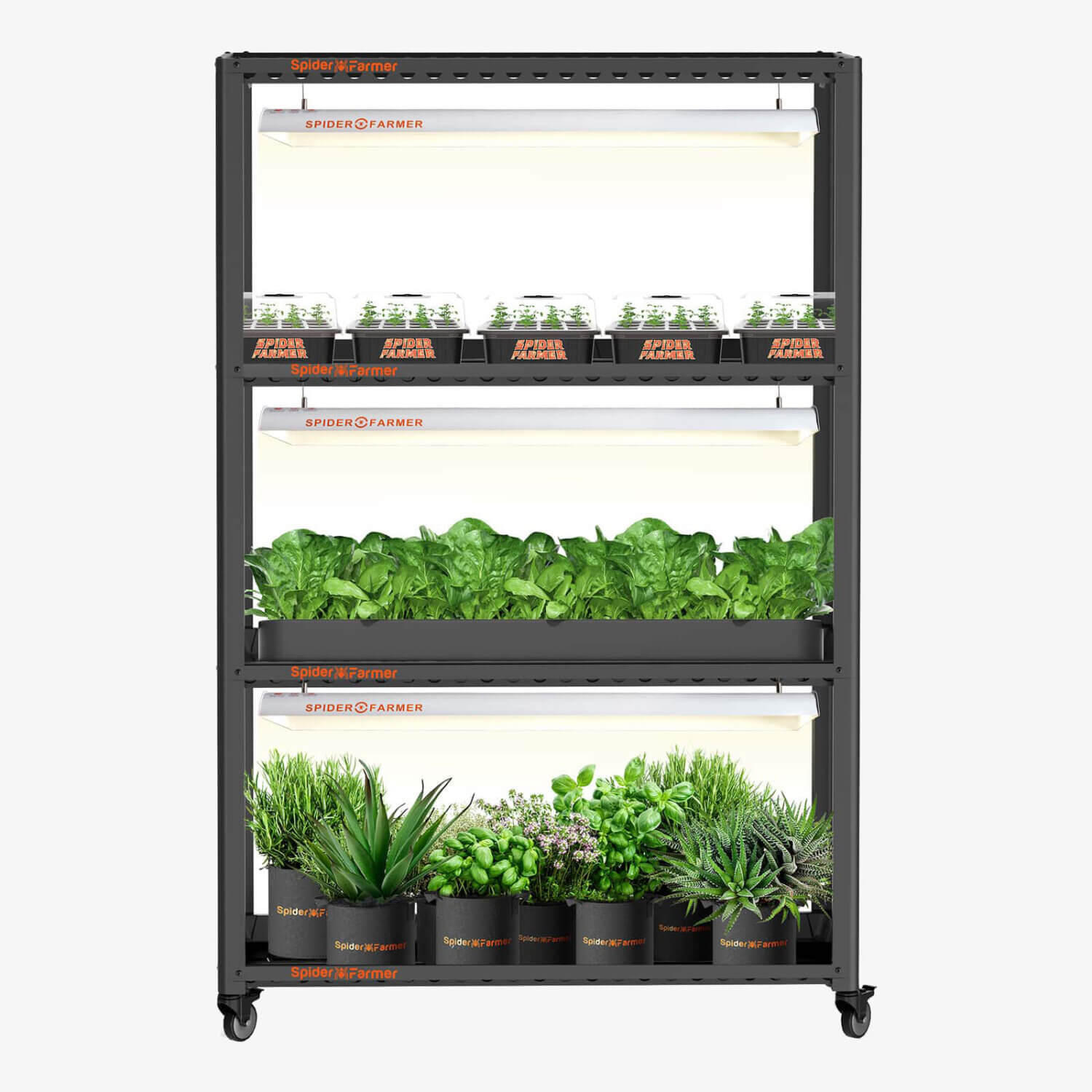 3 Etagen Grow Regal mit 3x SF600 LED Beleuchtung